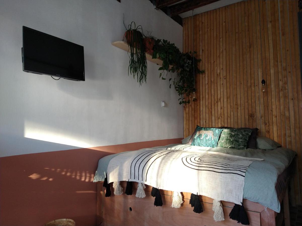 B&B "Manana" Haarlem Kültér fotó